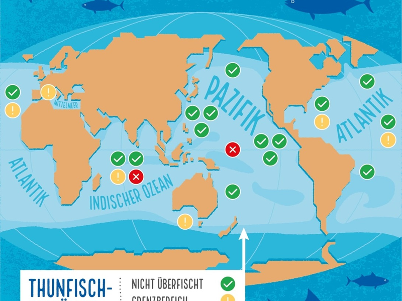 Am 2. Mai ist Weltthunfischtag - und es gibt endlich gute Nachrichten! - Foto: presseportal.de