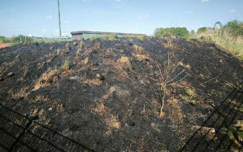POL-ROW: Flächenbrand durch Böller - Foto: presseportal.de