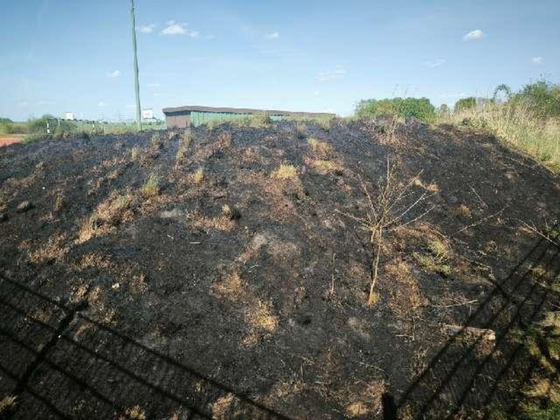 POL-ROW: Flächenbrand durch Böller - Foto: presseportal.de