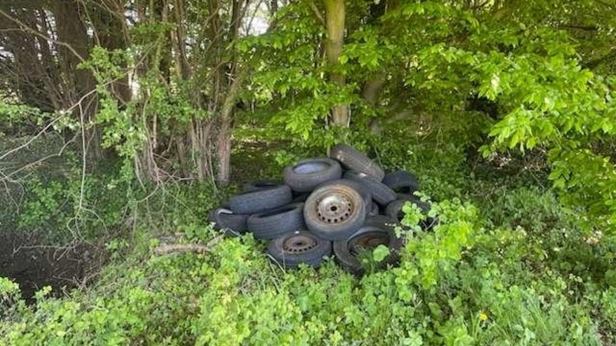 POL-NI: Umweltverschmutzung - Foto: presseportal.de