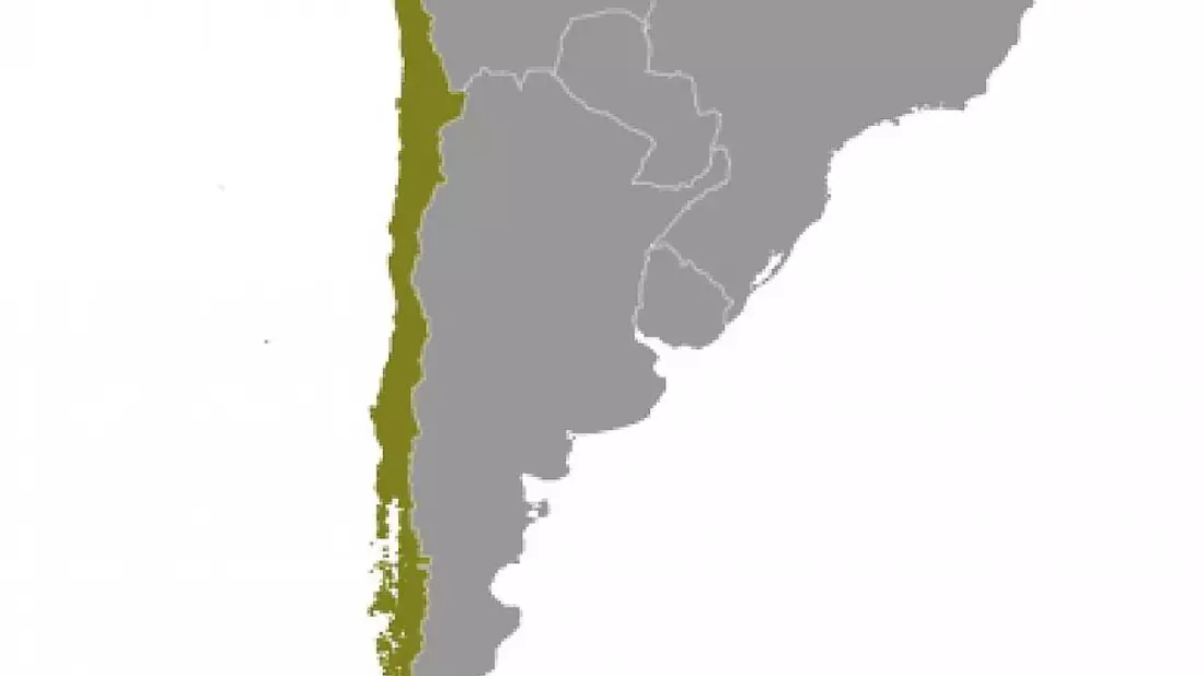 Chile (Archiv) - Bild: über dts Nachrichtenagentur