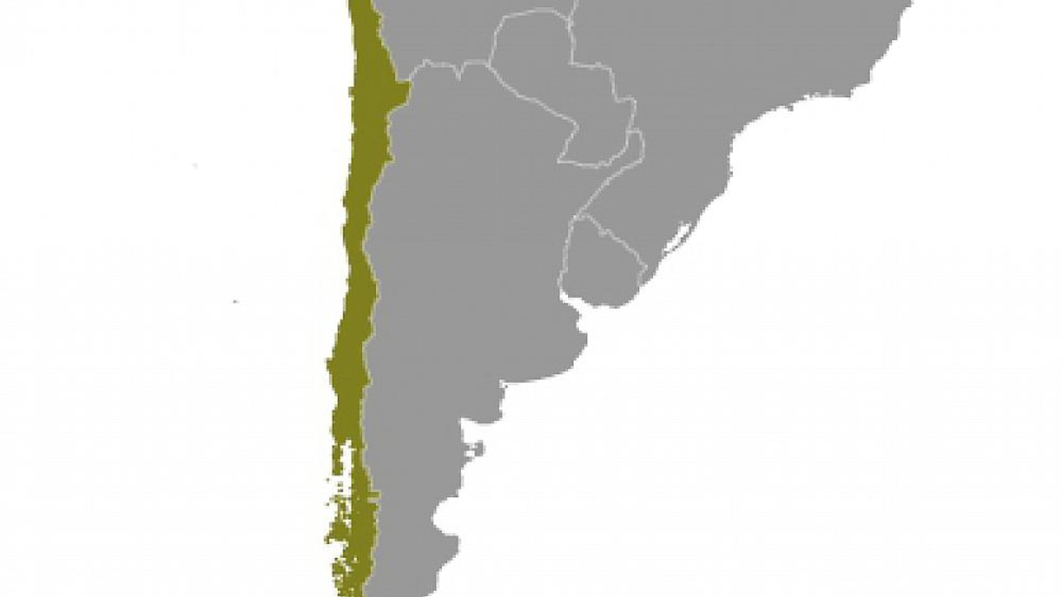Chile (Archiv) - Foto: über dts Nachrichtenagentur