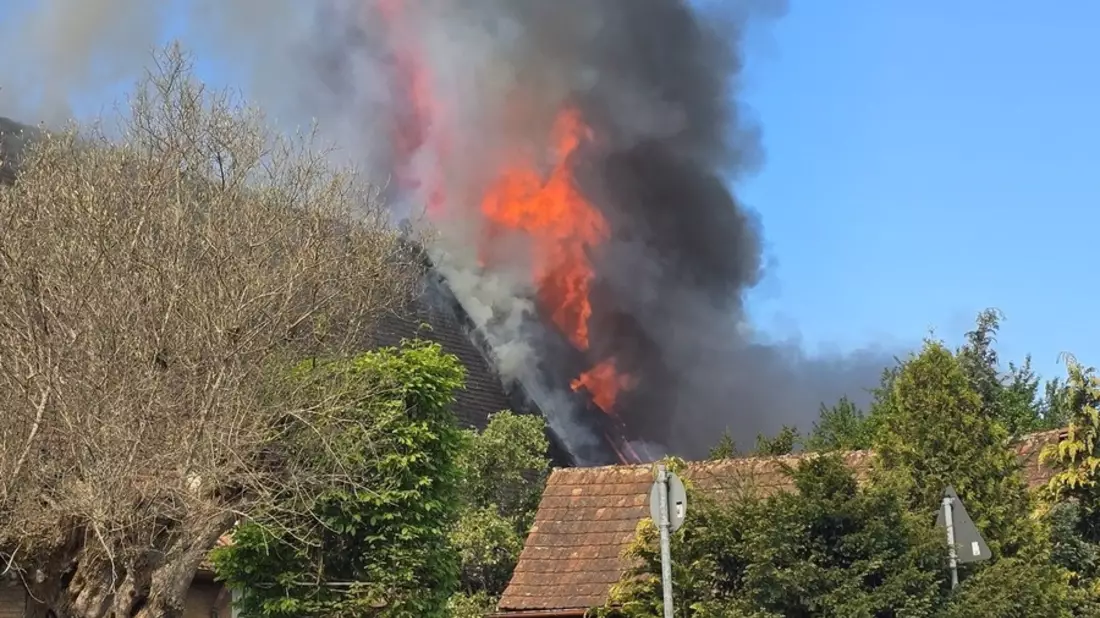 Feuerwehr Nürnberg: Schnelles Handeln verhinderte Schlimmeres - Brand in landwirtschaftlichem Anwesen in Nürnberg-Krottenbach - Bild: presseportal.de