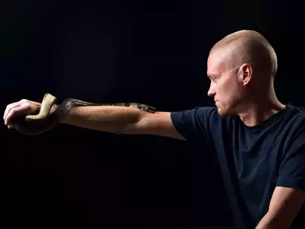 Der von Schlangen begeisterte US-Amerikaner Tim Friede hat sich selbst immer größere Dosierungen von Schlangengiften verabreicht und kann nun einfach so eine Wasserkobra auf dem Arm tragen.  - Foto: ---/Centivax/dpa