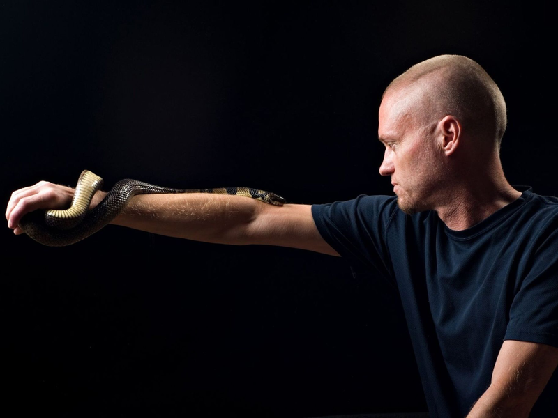 Der von Schlangen begeisterte US-Amerikaner Tim Friede hat sich selbst immer größere Dosierungen von Schlangengiften verabreicht und kann nun einfach so eine Wasserkobra auf dem Arm tragen.  - Foto: ---/Centivax/dpa