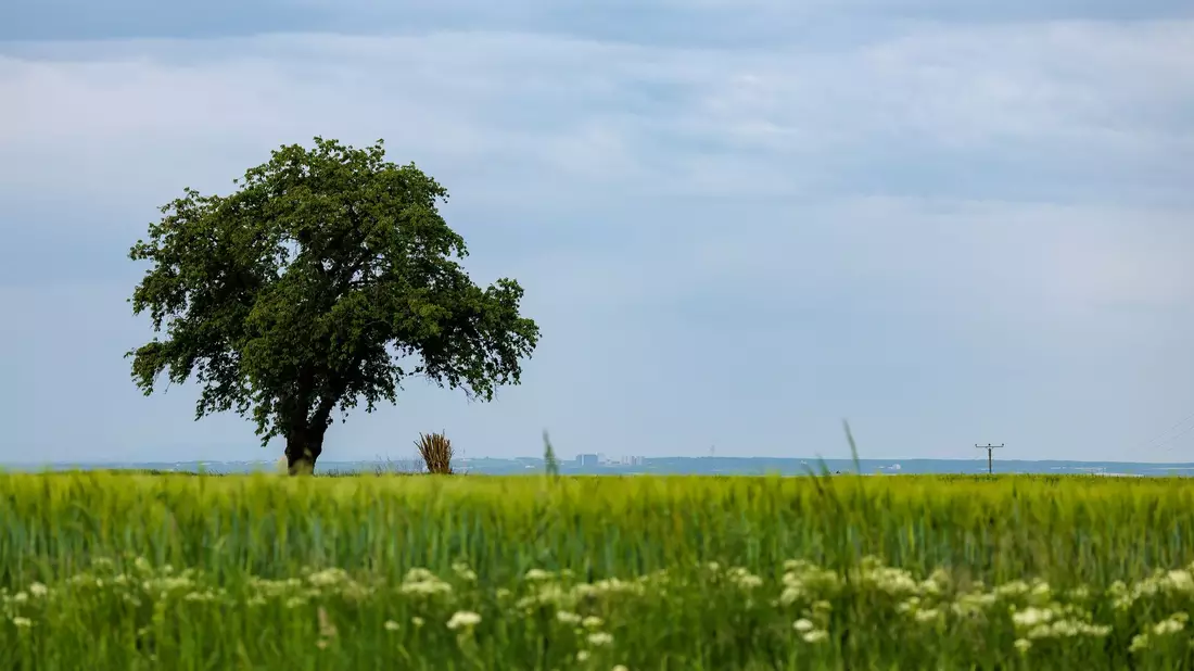 Der Wetterumschwung kann Gewitter und Starkregen bringen. (Symbolbild) - Bild: Jörg Halisch/dpa