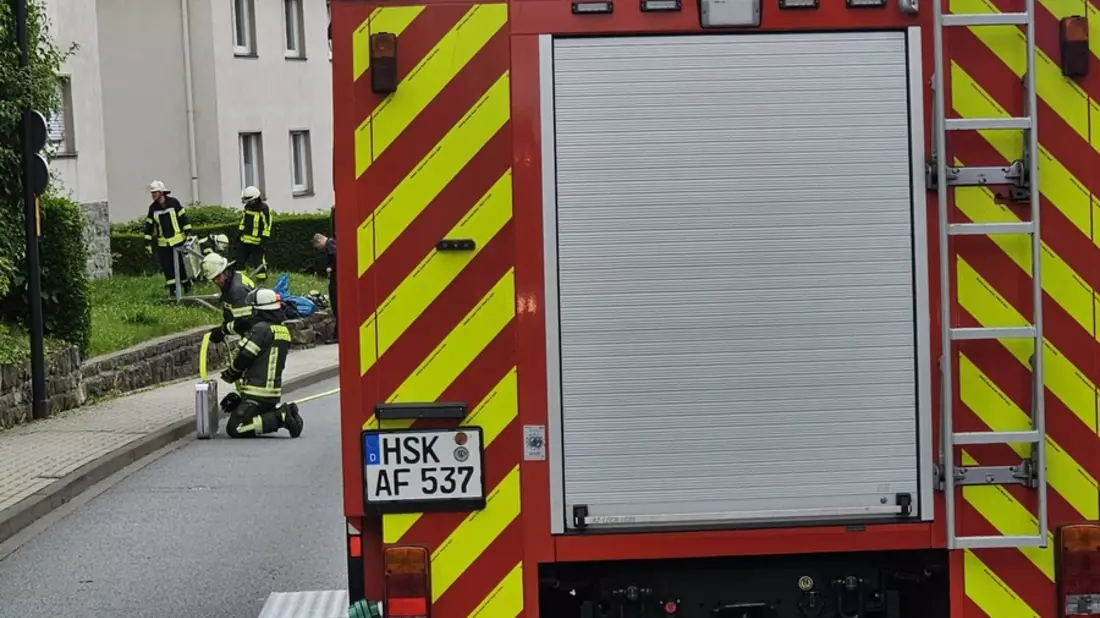 FW-AR: Feuerwehr rettet vier Katzen aus brennender Wohnung - Bild: presseportal.de