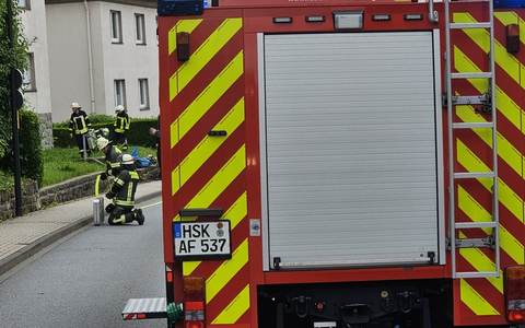 FW-AR: Feuerwehr rettet vier Katzen aus brennender Wohnung - Foto: presseportal.de