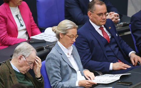 Alexander Gauland, Alice Weidel und Tino Chrupalla (Archiv) - Foto: über dts Nachrichtenagentur