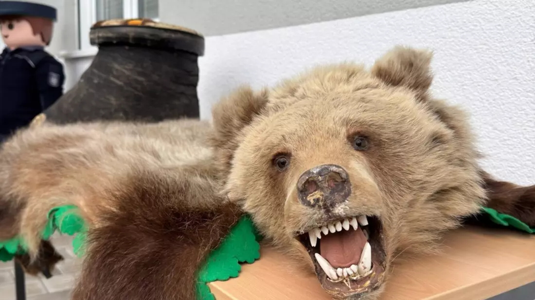 HZA-LA: Der Zoll stellt sich vor - Zollinfotag - Karriere des Hauptzollamts Landshut am 10. Mai 2025 in Passau, Spitalhofstraße - Bild: presseportal.de