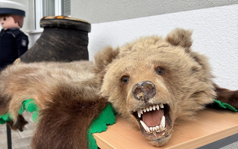 HZA-LA: Der Zoll stellt sich vor - Zollinfotag - Karriere des Hauptzollamts Landshut am 10. Mai 2025 in Passau, Spitalhofstraße - Foto: presseportal.de