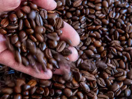 Die Polizei ermittelt nun zu den genauen Umständen der Kaffee-Diebstähle im Landkreis Passau. (Symbolbild) - Foto: Jens Büttner/dpa