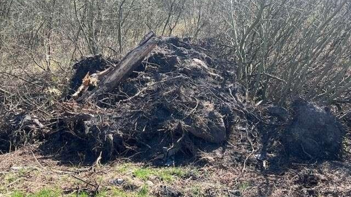 POL-AUR: Großefehn - Unerlaubter Umgang mit Abfällen - Foto: presseportal.de