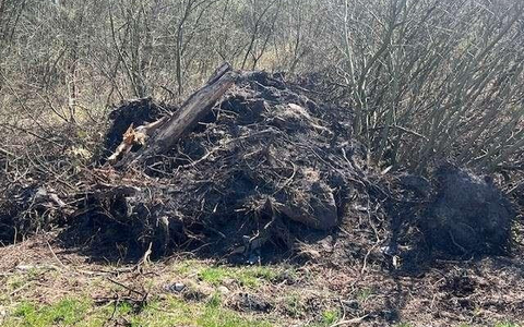 POL-AUR: Großefehn - Unerlaubter Umgang mit Abfällen - Foto: presseportal.de