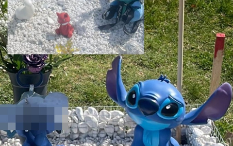 POL-GI: Unfall gebaut und Polizisten gebissen + Diebstahl an Grab - Zeugen gesucht + Unfallfluchten - Foto: presseportal.de POL-GI: Unfall gebaut und Polizisten gebissen + Diebstahl an Grab - Zeugen gesucht + Unfallfluchten - Foto: presseportal.de