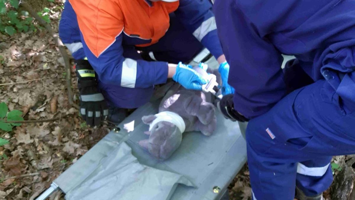 FW Flotwedel: Jugendfeuerwehr-Wochenende 2025 der Jugendfeuerwehr Eicklingen - Foto: presseportal.de
