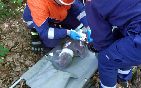 FW Flotwedel: Jugendfeuerwehr-Wochenende 2025 der Jugendfeuerwehr Eicklingen - Foto: presseportal.de FW Flotwedel: Jugendfeuerwehr-Wochenende 2025 der Jugendfeuerwehr Eicklingen - Foto: presseportal.de