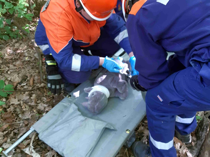 FW Flotwedel: Jugendfeuerwehr-Wochenende 2025 der Jugendfeuerwehr Eicklingen - Foto: presseportal.de
