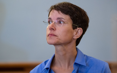 Petry scheiterte nach ihrem AfD-Abgang mit der Blauen Partei - und will nun wieder einen Neuanfang wagen. (Archivbild) - Foto: Hendrik Schmidt/dpa-Zentralbild/dpa