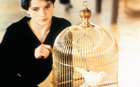 ARTE-Streamingtipps im Mai - Foto: presseportal.de