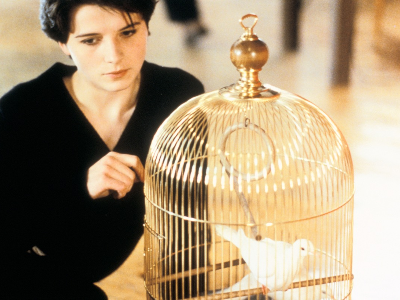 ARTE-Streamingtipps im Mai - Foto: presseportal.de