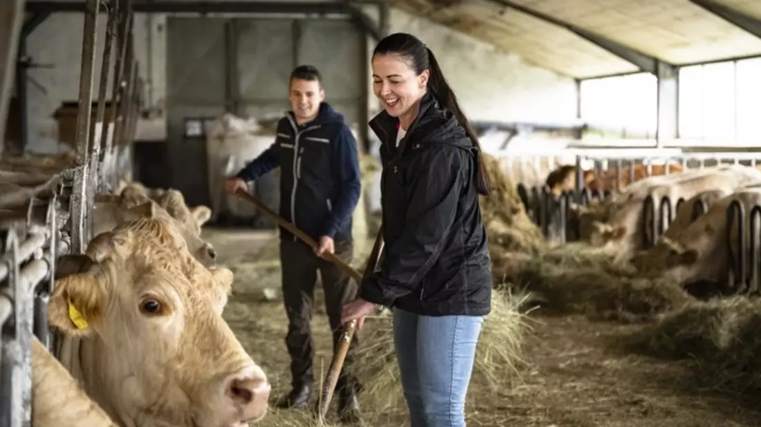 Einladung zur Pressekonferenz am 22. Mai 2025 - Landwirt für einen Tag mit Annabelle Mandeng - Bild: presseportal.de