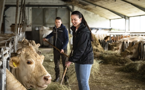 Einladung zur Pressekonferenz am 22. Mai 2025 - Landwirt für einen Tag mit Annabelle Mandeng - Foto: presseportal.de