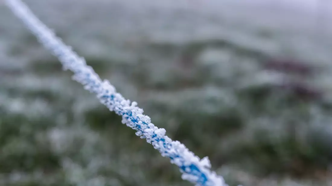 Eisige Temperaturen im Hochschwarzwald  - Bild: Philipp von Ditfurth/dpa