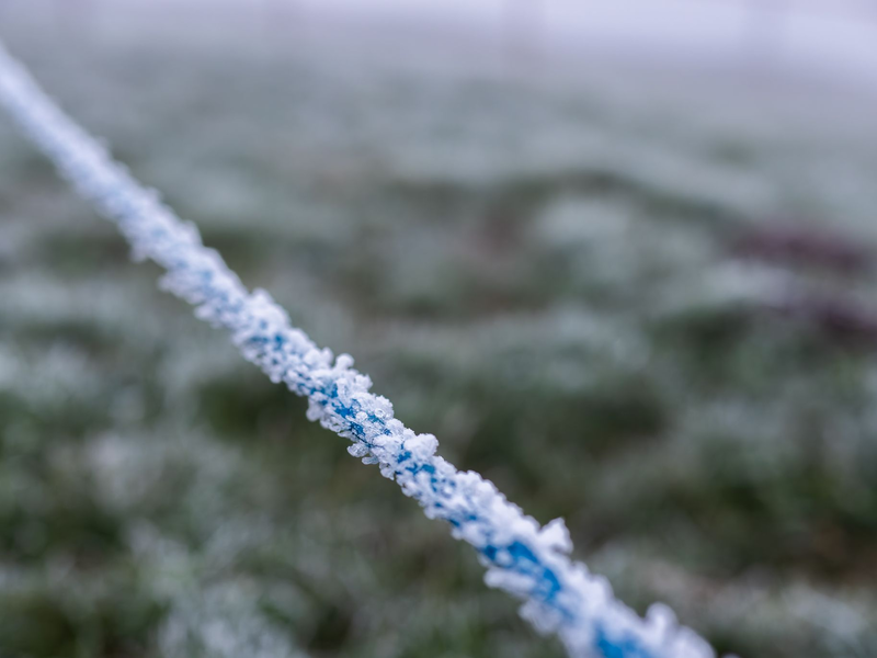 Es gibt auch gute Nachrichten: Die neue Woche wird oftmals sonnig.  - Foto: Philipp von Ditfurth/dpa