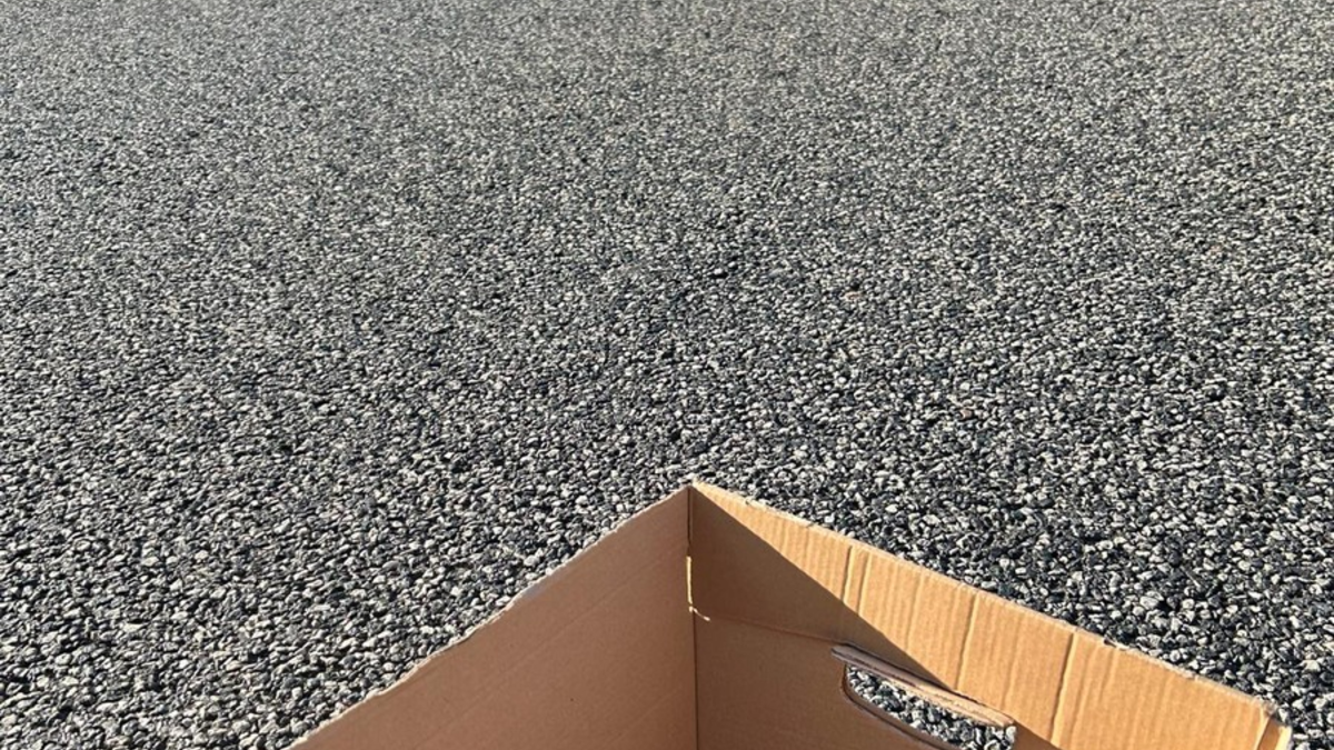 POL-DA: Büttelborn: Autobahnpolizisten müssen erneut verwaiste Küken retten/Mama von zehn Entchen überfahren - Foto: presseportal.de