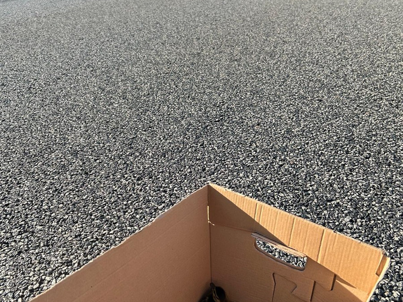 POL-DA: Büttelborn: Autobahnpolizisten müssen erneut verwaiste Küken retten/Mama von zehn Entchen überfahren - Foto: presseportal.de