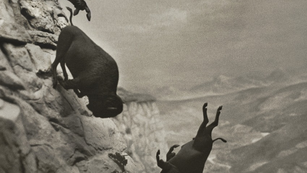 EDDINGTON / Weltpremiere im Wettbewerb der Filmfestspiele von Cannes - deutscher Kinostart am 17. Juli 2025 - Foto: presseportal.de