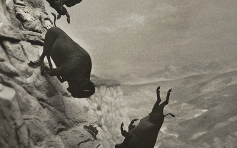 EDDINGTON / Weltpremiere im Wettbewerb der Filmfestspiele von Cannes - deutscher Kinostart am 17. Juli 2025 - Foto: presseportal.de EDDINGTON / Weltpremiere im Wettbewerb der Filmfestspiele von Cannes - deutscher Kinostart am 17. Juli 2025 - Foto: presseportal.de