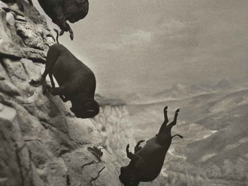 EDDINGTON / Weltpremiere im Wettbewerb der Filmfestspiele von Cannes - deutscher Kinostart am 17. Juli 2025 - Foto: presseportal.de