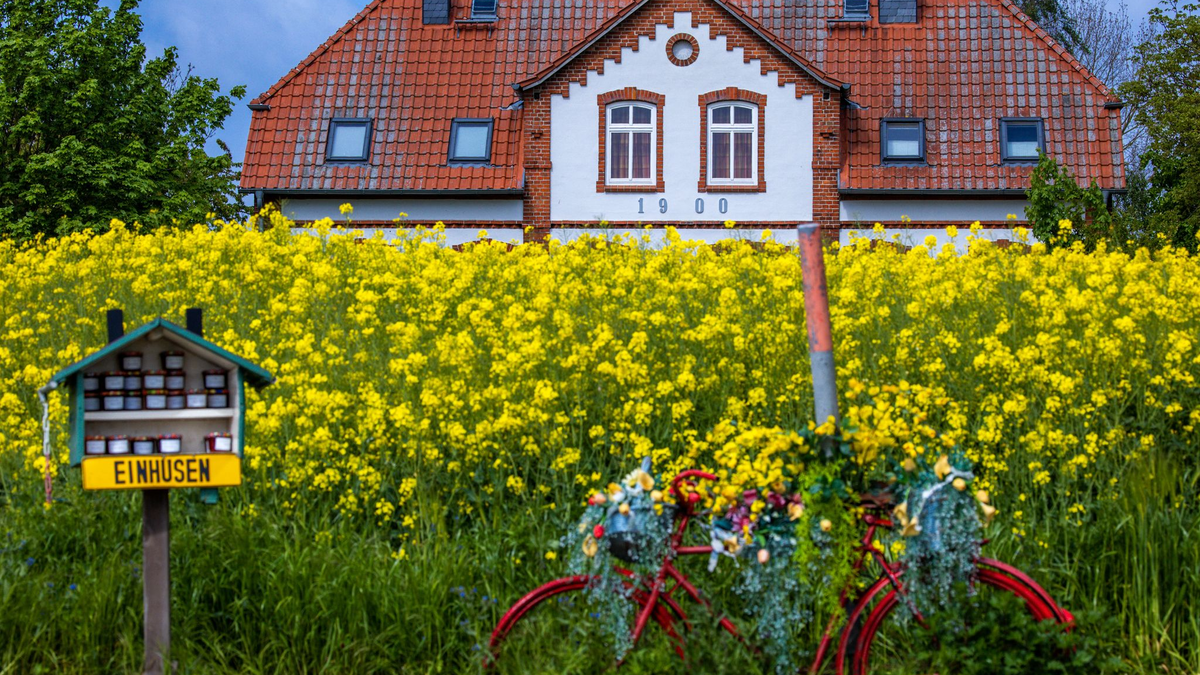 Ferienhäuser werden immer häufiger online vermittelt.  - Foto: Jens Büttner/dpa