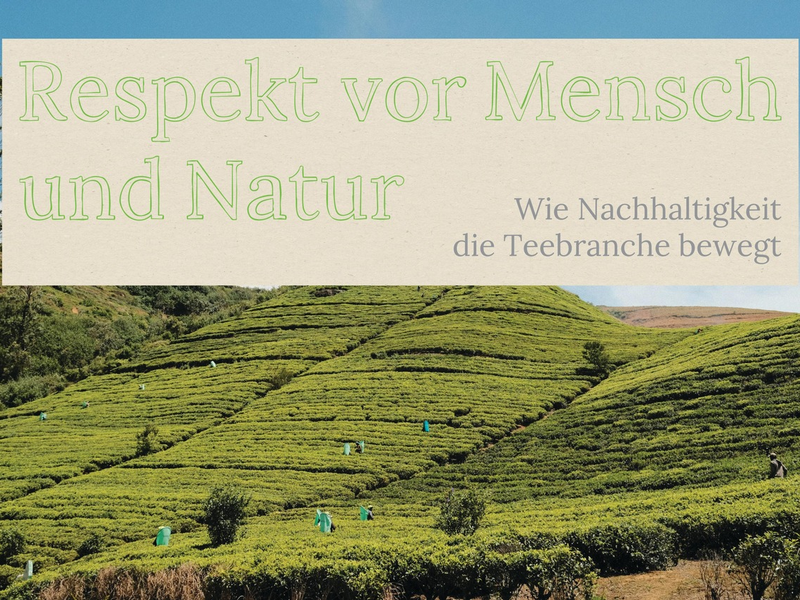Respekt vor Mensch und Natur - Deutscher Tee & Kräutertee Verband veröffentlicht Umfrageergebnisse und Praxisbeispiele zum Nachhaltigkeitsmanagement der Branche - Foto: presseportal.de