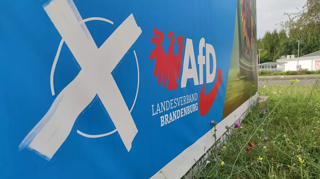 AfD-Wahlplakat zur Landtagswahl in Brandenburg (Archiv) - Bild: über dts Nachrichtenagentur
