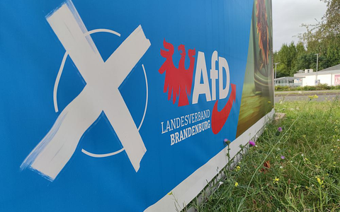AfD-Wahlplakat zur Landtagswahl in Brandenburg (Archiv) - Foto: über dts Nachrichtenagentur