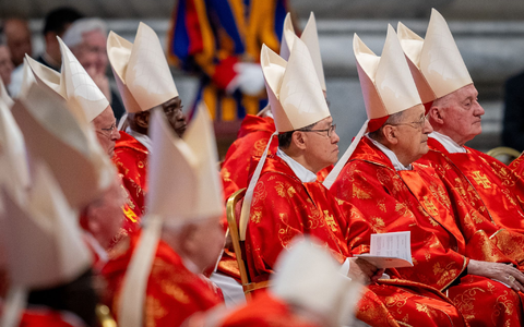 Die wahlberechtigten Kardinäle kommen aus aller Welt - und sprechen entsprechend viele Sprachen. - Foto: Stefano Carofei/IPA via ZUMA Press/dpa