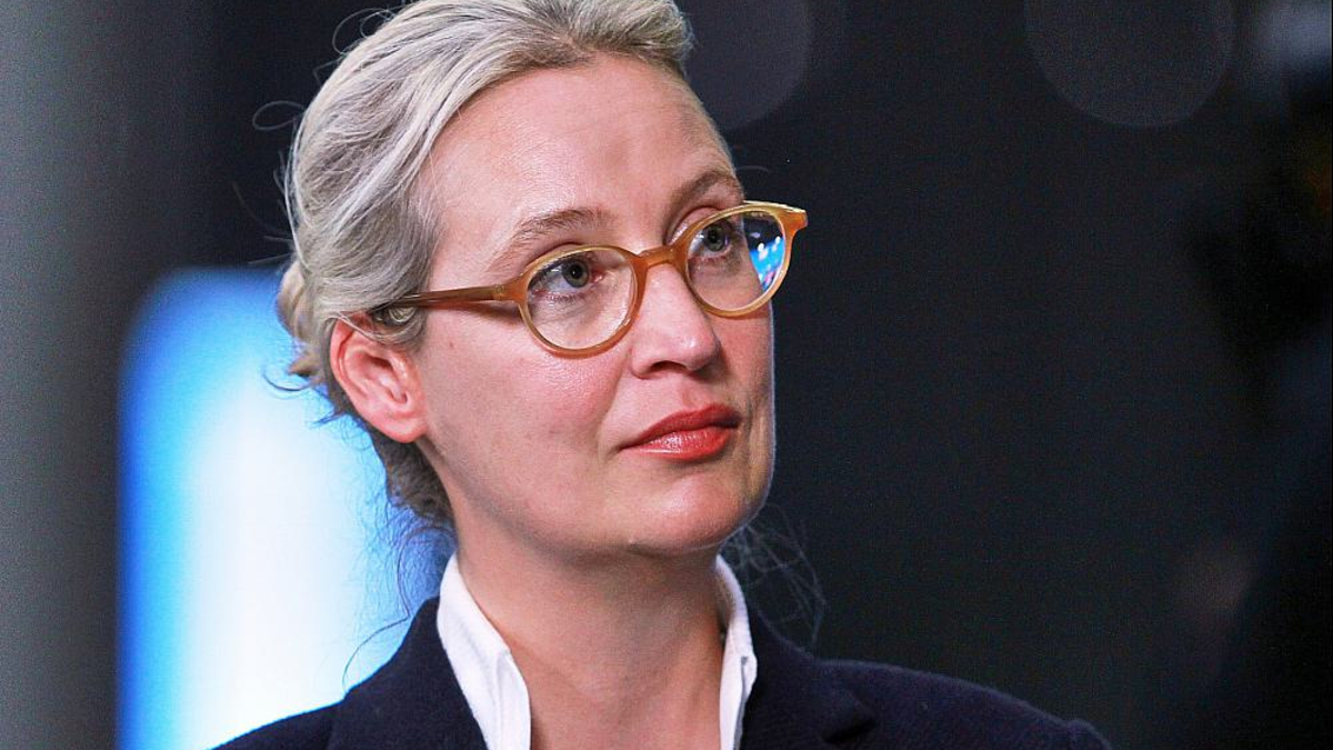 Alice Weidel (Archiv) - Foto: über dts Nachrichtenagentur