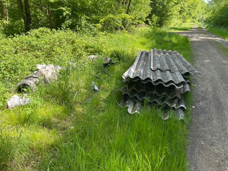 POL-WE: + Müll illegal entsorgt + - Foto: presseportal.de