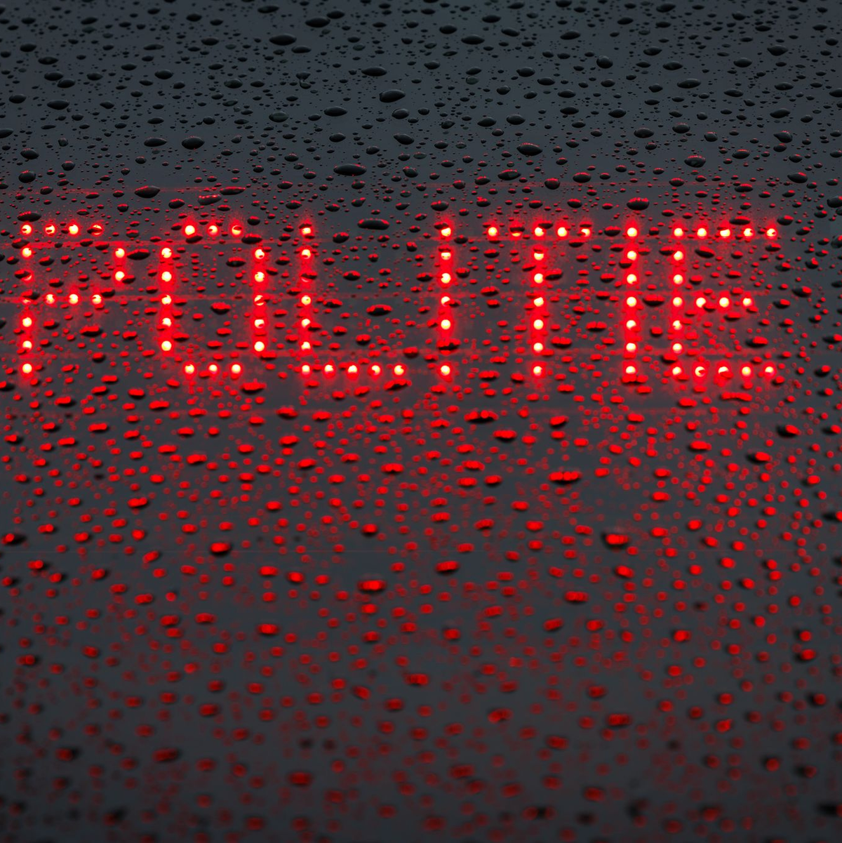 Die niederländische Polizei sucht mit Hochdruck nach den zwei Kindern. (Symbolbild) - Foto: Friso Gentsch/dpa