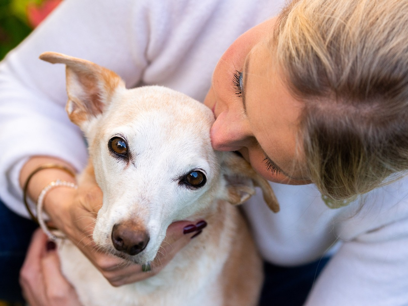 ZDF: Terra X: Harald Lesch und 37° über Haustiere - Foto: presseportal.de