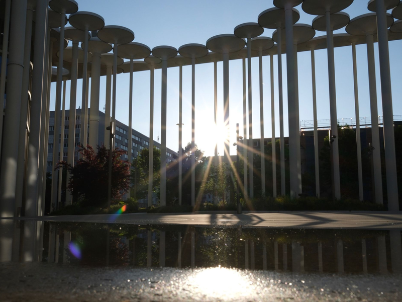 Blauer Himmel, Sonnenschein - am kommenden Wochenende wird dieses Bild vorherrschen. - Foto: Sebastian Willnow/dpa