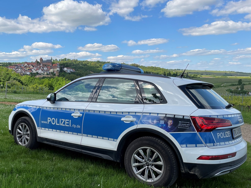 POL-PDNW: Drogentest positiv - Foto: presseportal.de