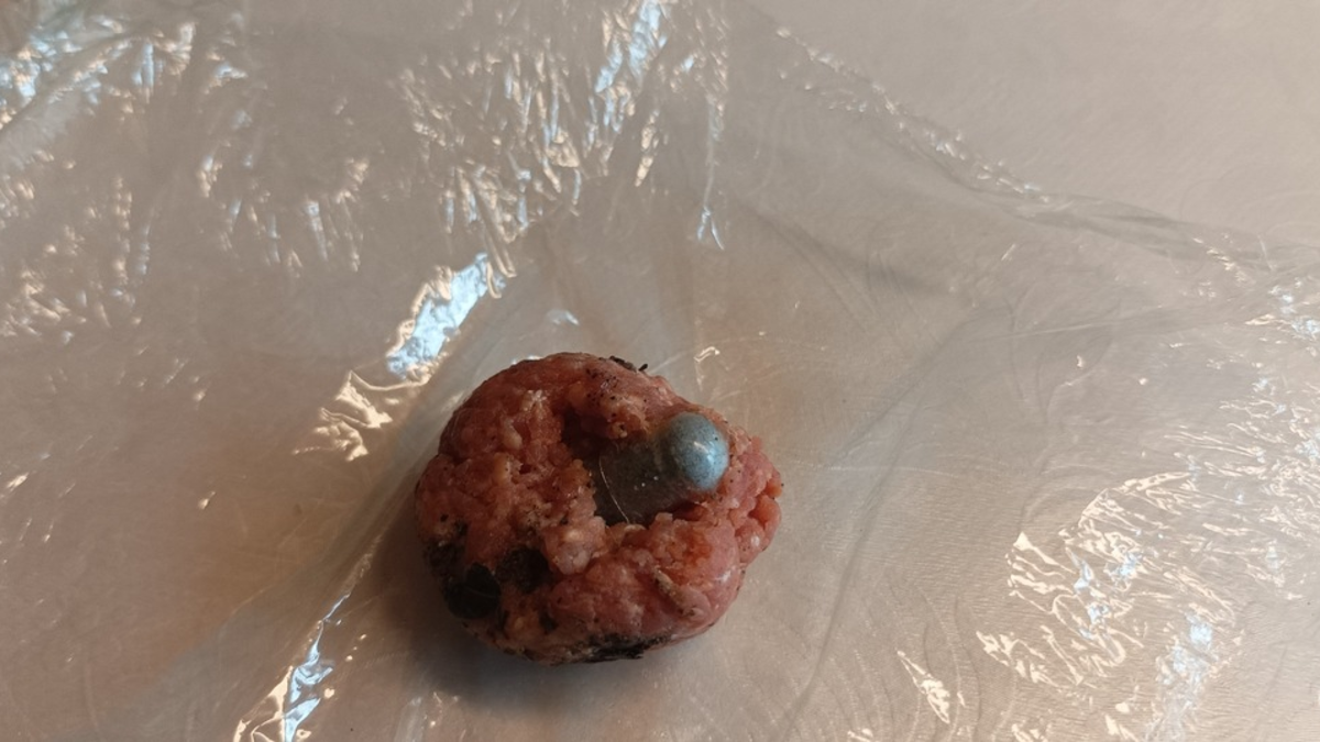 POL-HL: OH-Kasseedorf / Hundehalterinnen finden präparierte Hackbällchen - Polizei sucht Zeugen - Foto: presseportal.de