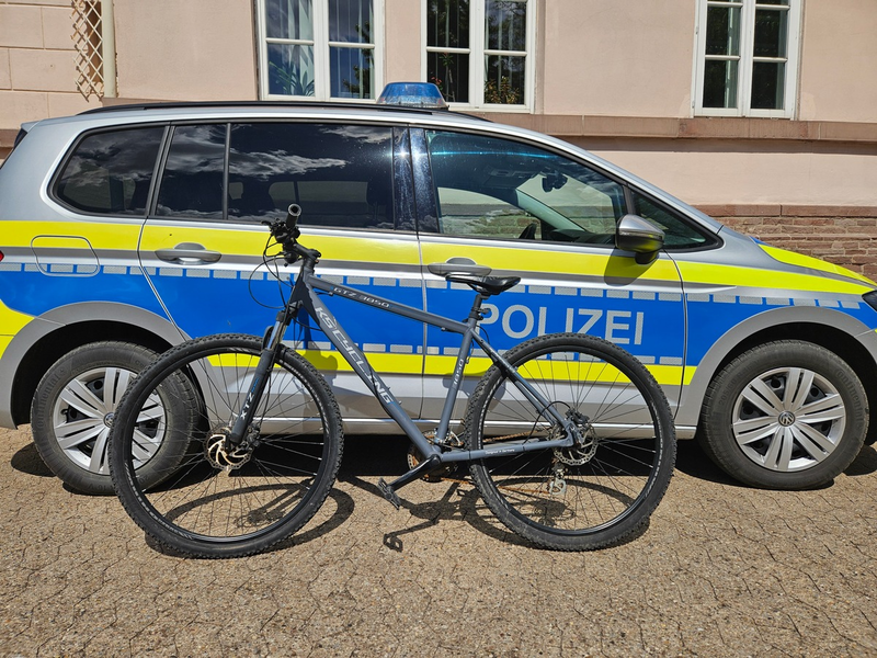 POL-HOL: Wem gehört das Mountainbike? - Foto: presseportal.de