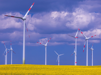 Die GrĂŒnen fĂŒrchten, dass die neue Regierung beim Ausbau der Erneuerbaren zögert. (Illustration) - Foto: Jens BĂŒttner/dpa