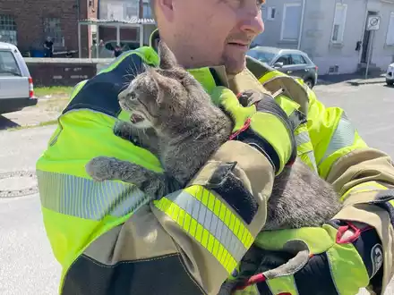 FW Lage: TH0/Tier klein: Katze klemmt im gekippten Fenster - 10.05.2025 - 11:27 Uhr - Foto: presseportal.de