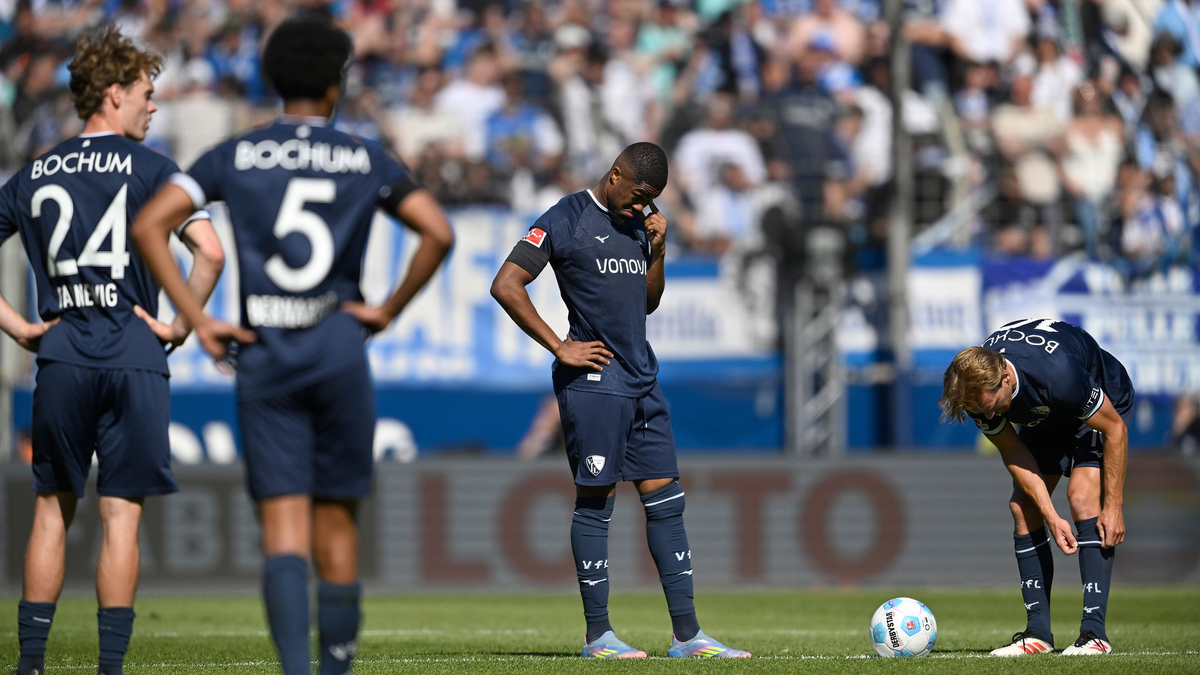 Konnte den Abstieg nicht verhindern: Bochums Trainer Dieter Hecking. - Foto: Anke Waelischmiller/dpa